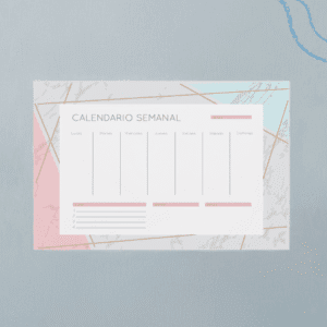 Planner PZR - Rosa