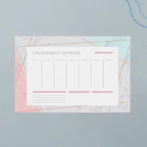 Planner PZR - Rosa