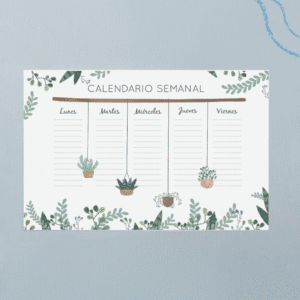 Planner PZR - Plantas