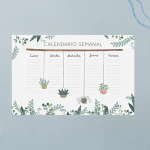 Planner PZR - Plantas