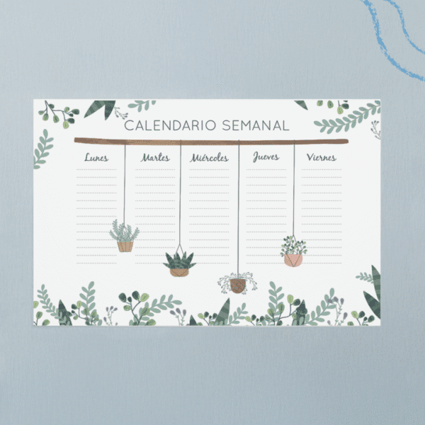 Planner PZR - Plantas